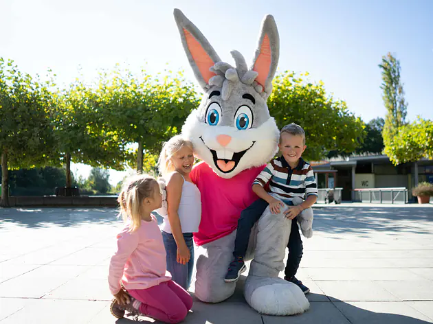 Tageskarte Ravensburger Spieleland