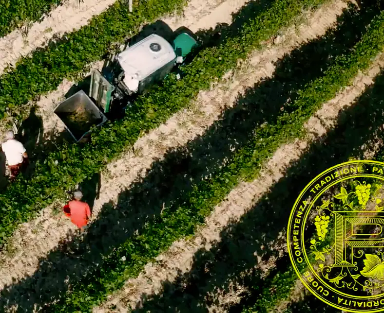 Bildschirmfoto 2026-01-23 um 12.36.02.png