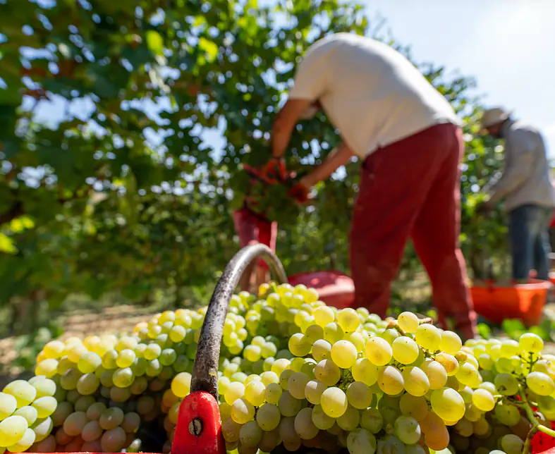 Bildschirmfoto 2026-01-23 um 12.50.12.png