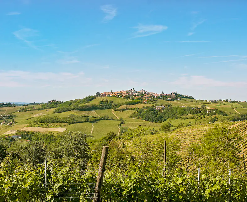 Bildschirmfoto 2026-01-23 um 12.51.24.png