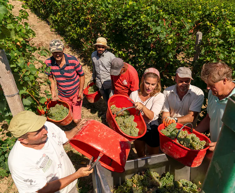 Bildschirmfoto 2026-01-23 um 13.03.51.png