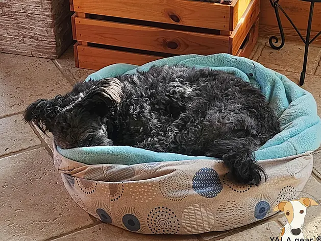 Hunde Betten von Yala Gear