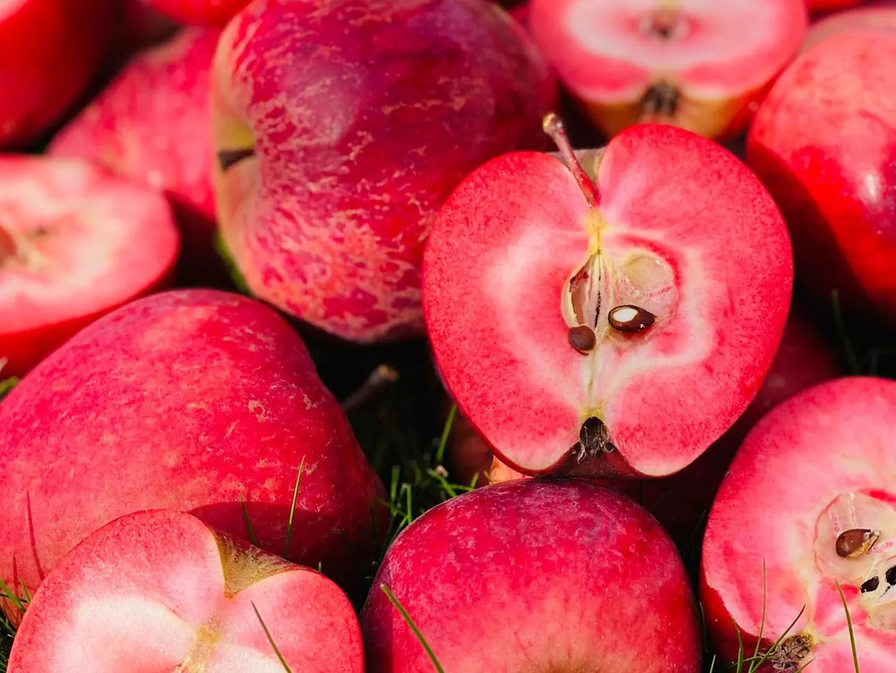 RedLove Mosterei Bussinger