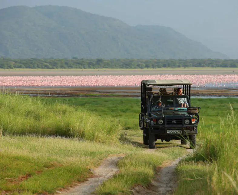 Bild_Safarijeep bei Lake Manyara mit Flamingos_small.jpg