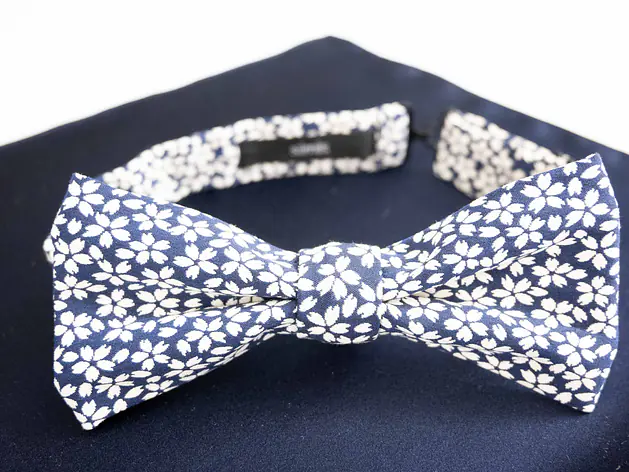 Fliege mit Einstecktuch