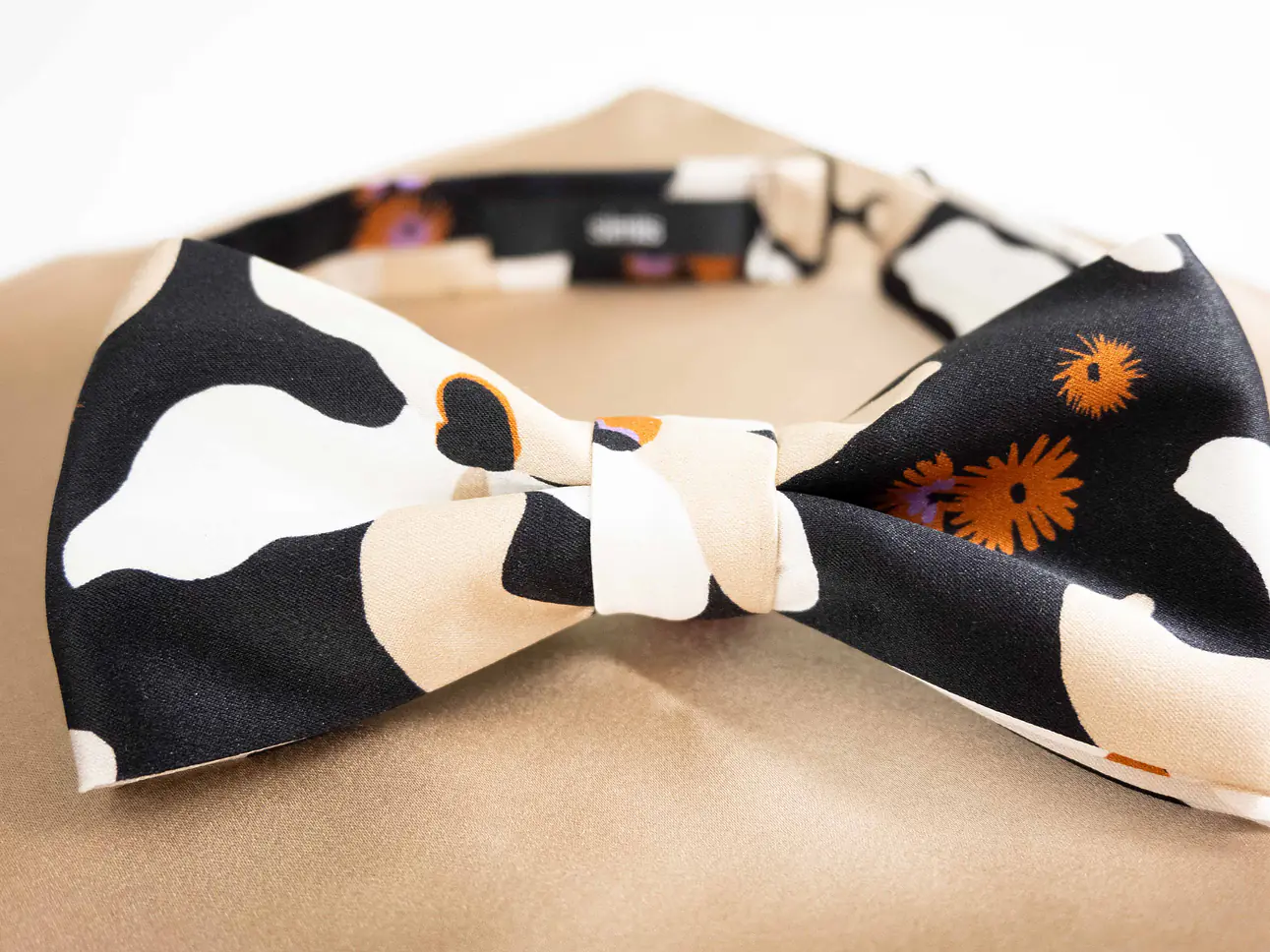 Fliege mit Einstecktuch