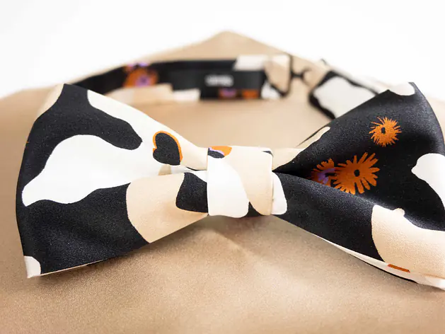 Fliege mit Einstecktuch