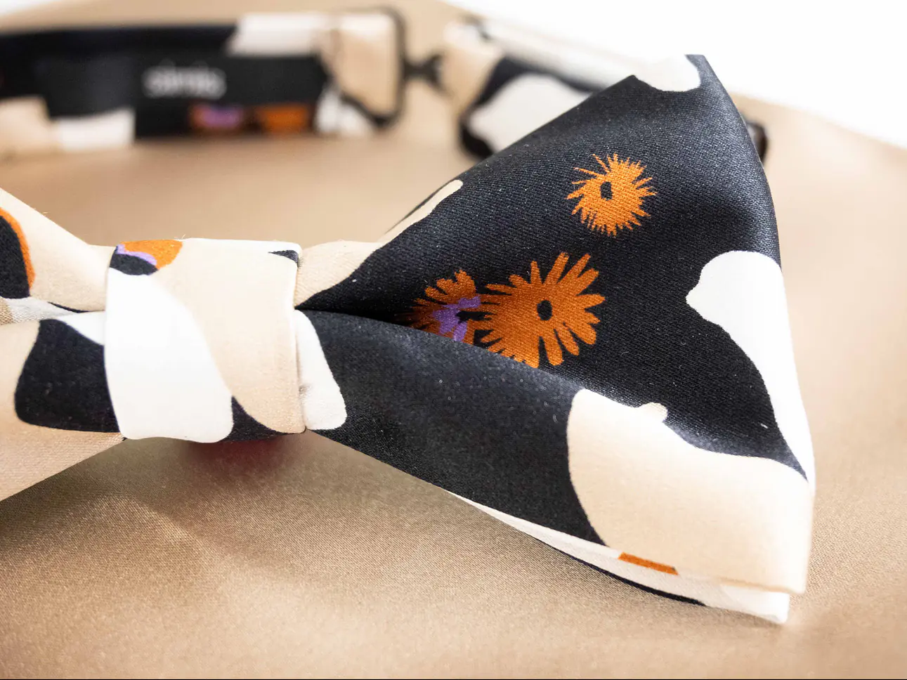 Fliege mit Einstecktuch