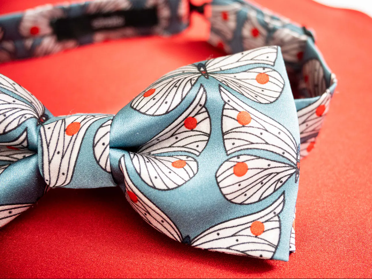 Fliege mit Einstecktuch