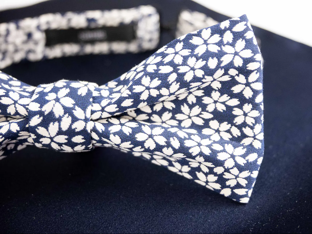 Fliege mit Einstecktuch