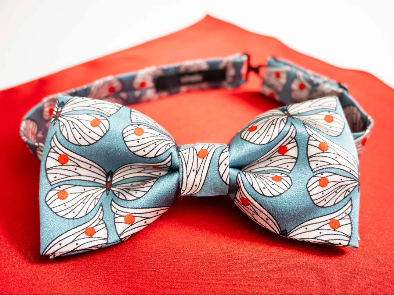 Fliege mit Einstecktuch