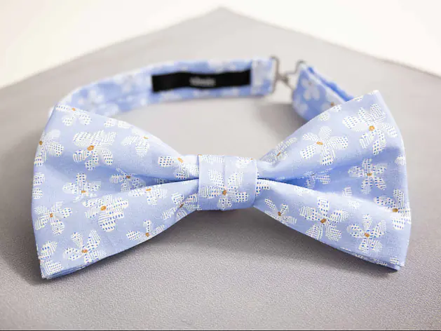 Fliege mit Einstecktuch