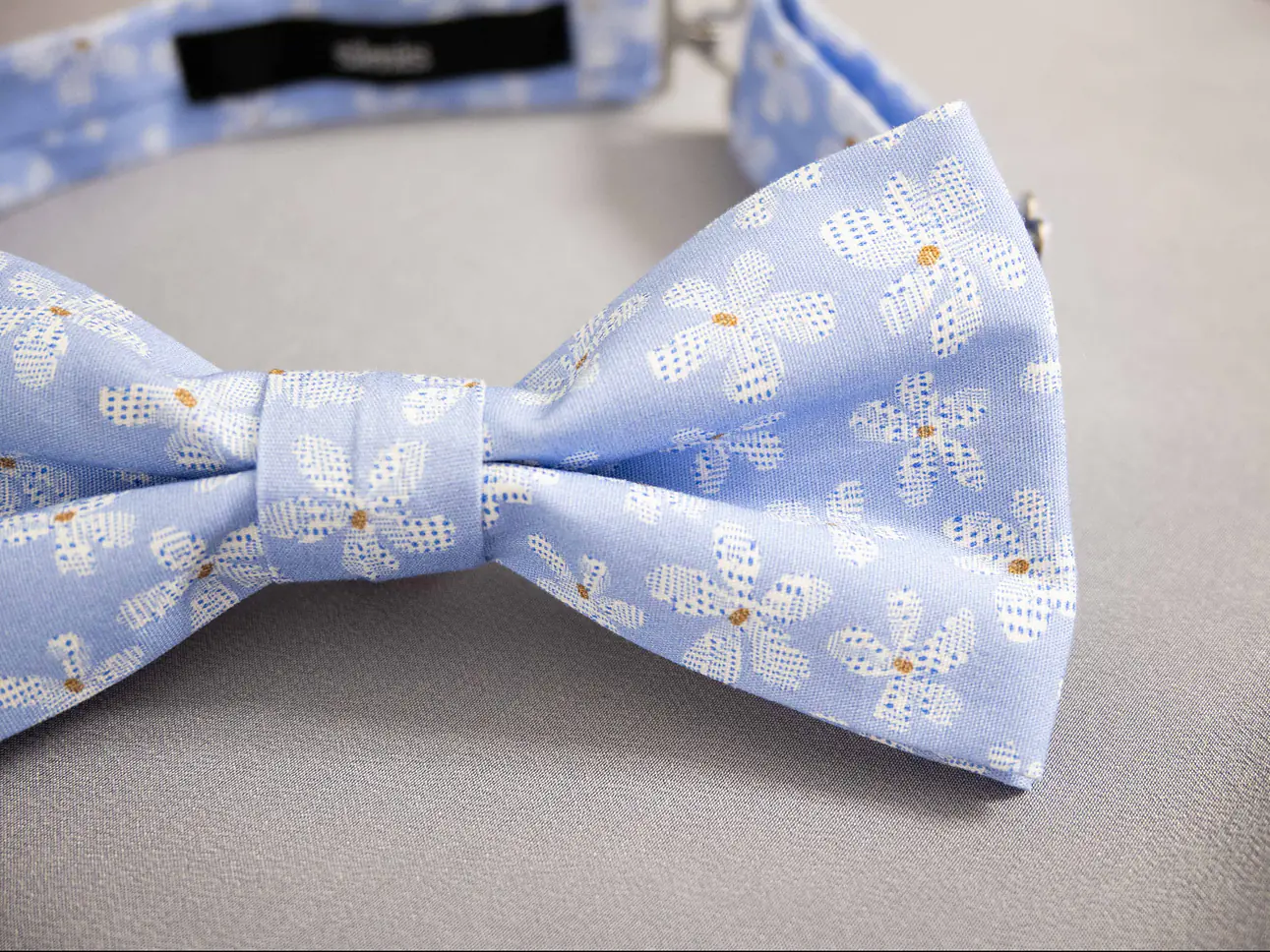 Fliege mit Einstecktuch