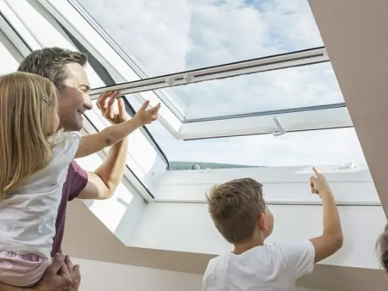 Fliegenschutz für Dachfenster