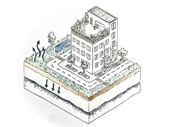 Schwammstadt Beratungen