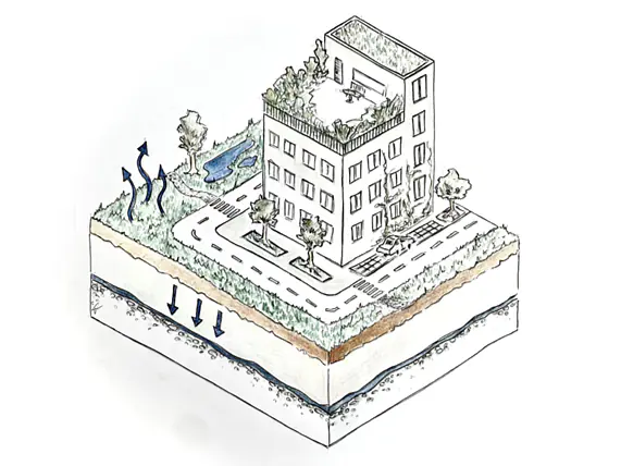 Schwammstadt Beratungen