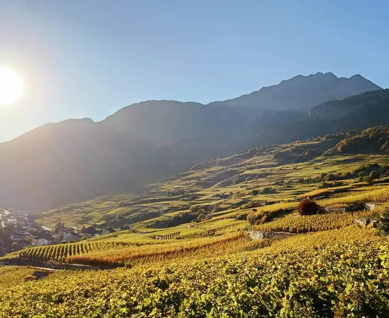 FB_IMG_1676298266959 Foto Vétroz.jpg