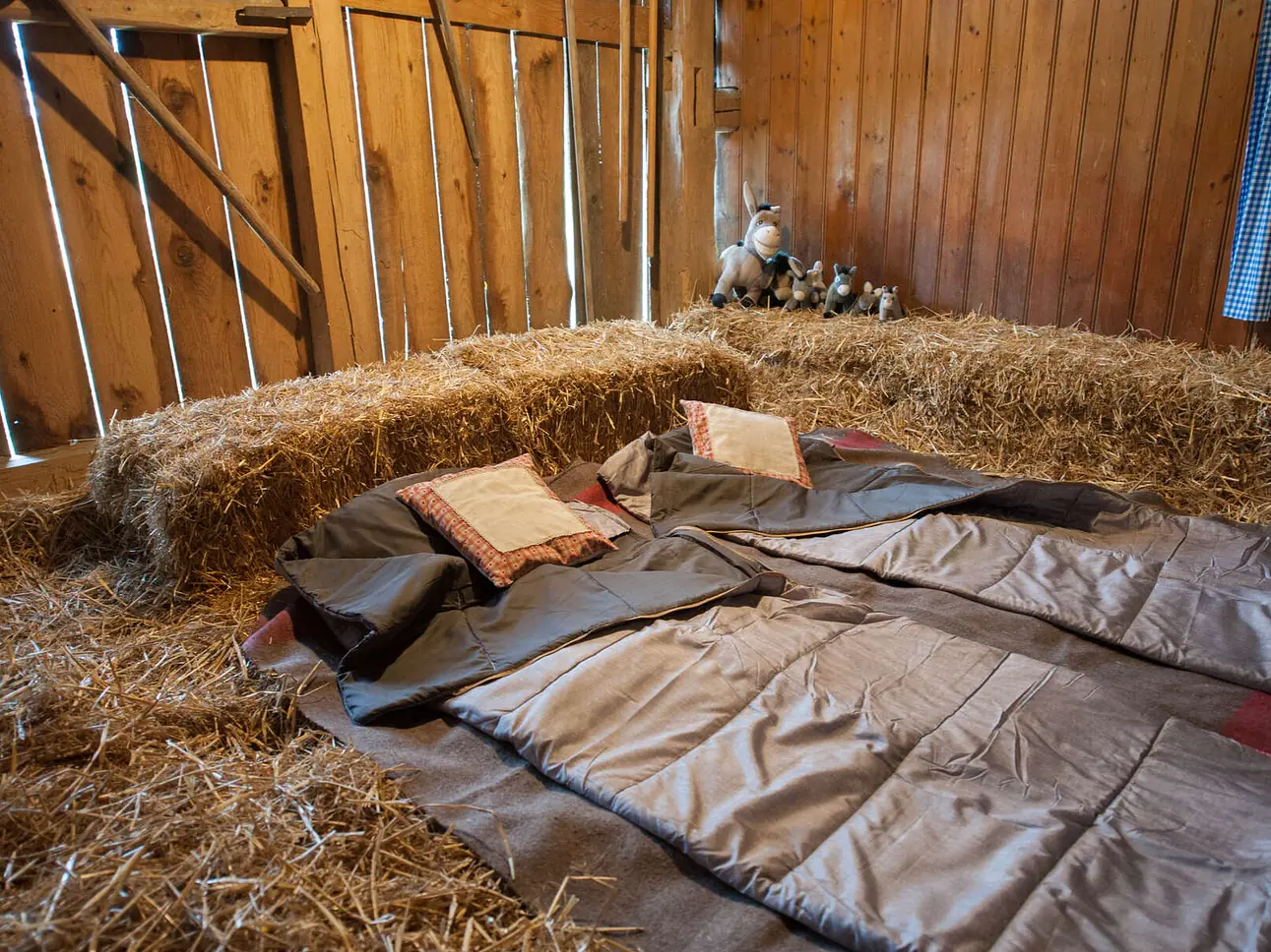 Eselhof Säge | Buch