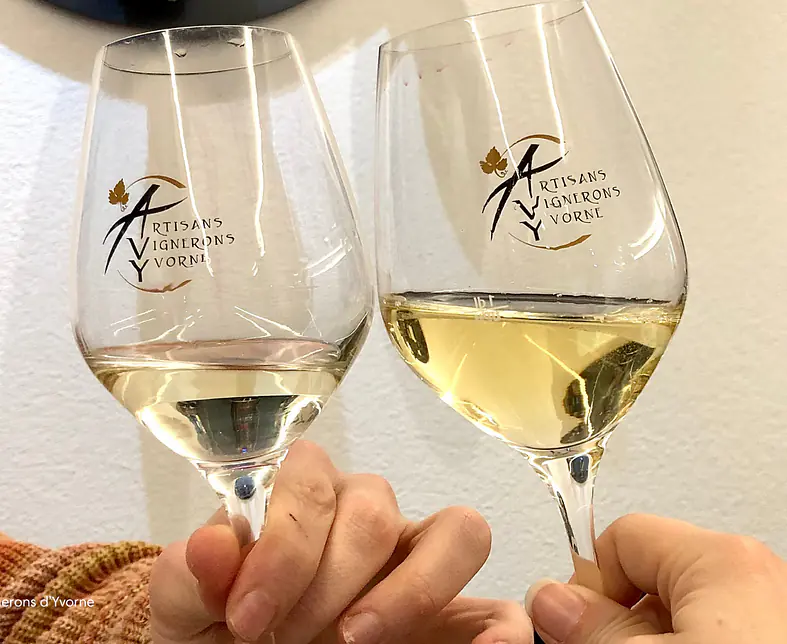 © Artisans Vignerons d’Yvorne.png