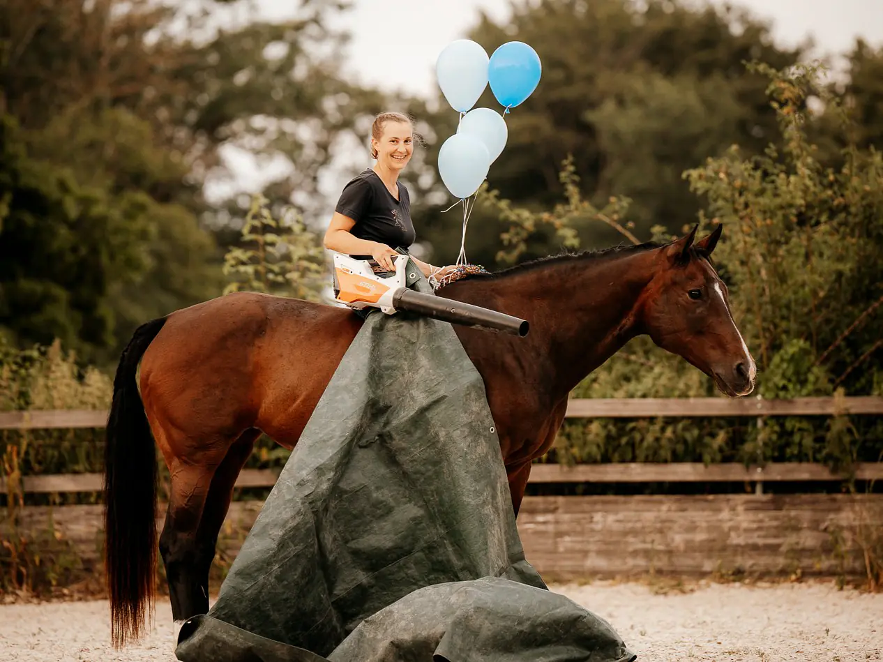 Verlasspferd-Lehrgang