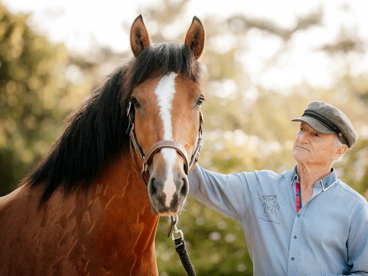 Einführungskurs ins Delfin-Horsetraining