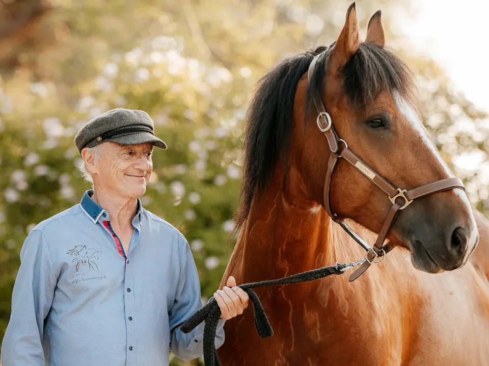 Einführungskurs ins Delfin-Horsetraining