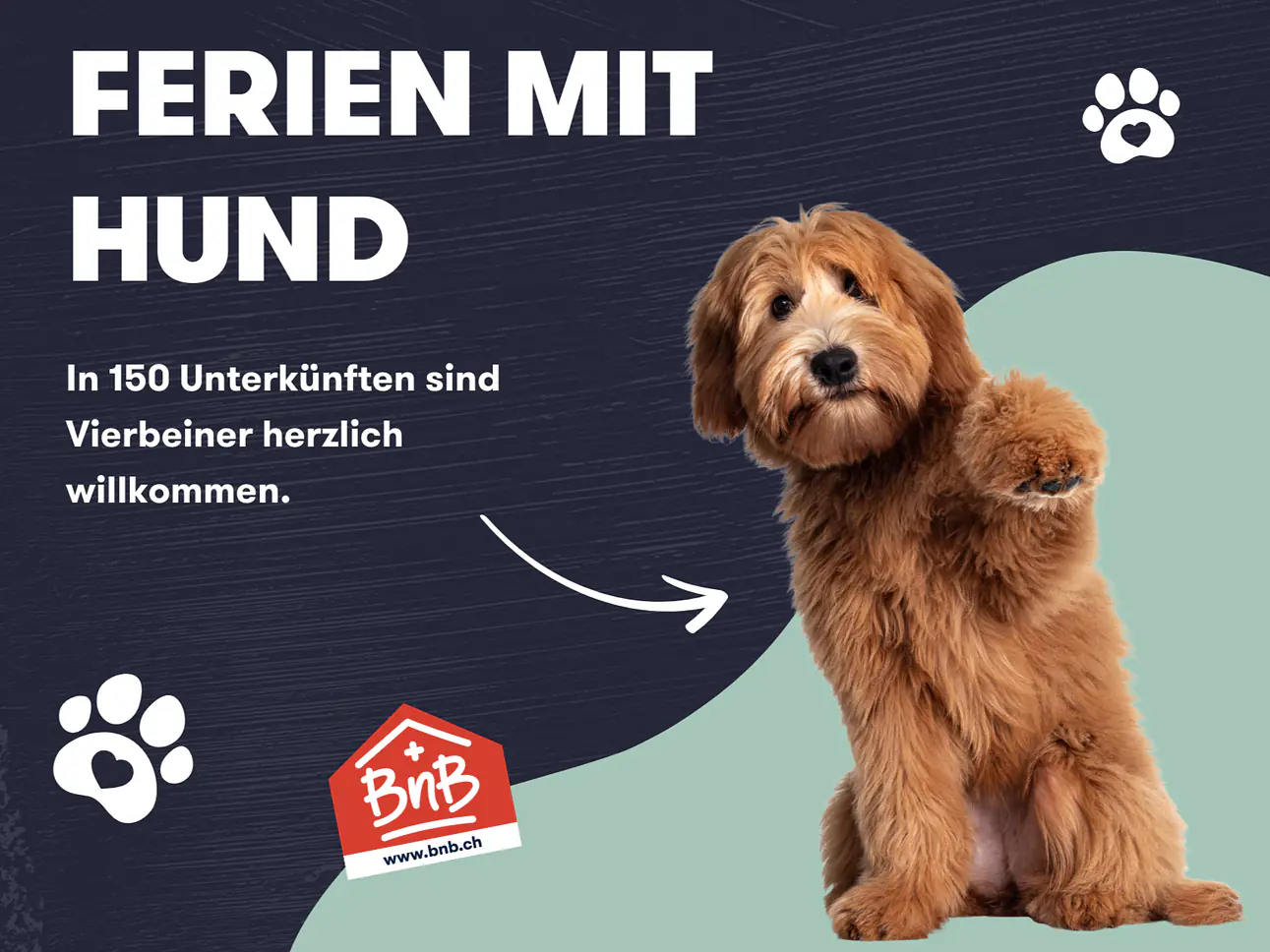 Ferien mit Hund | 150 Unterkünfte 