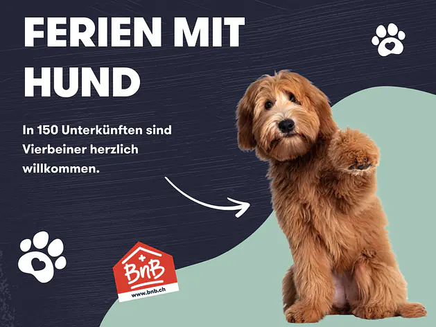 Ferien mit Hund | 150 Unterkünfte 