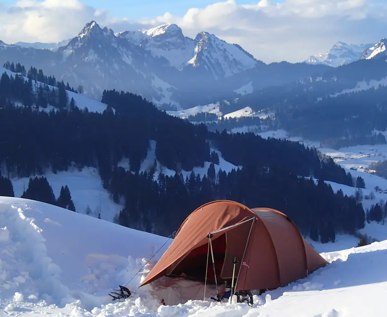 Aligator in den Bergen.jpg