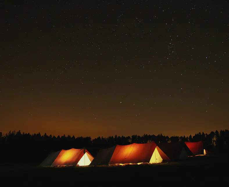 Gruppenspatz bei Nacht.jpg