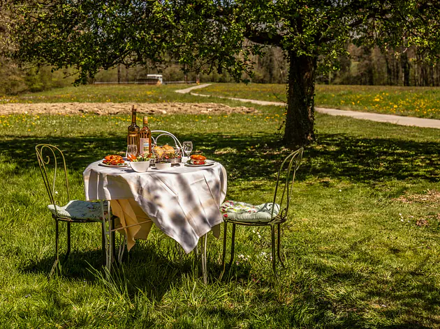 Les Oiseaux | Autavaux