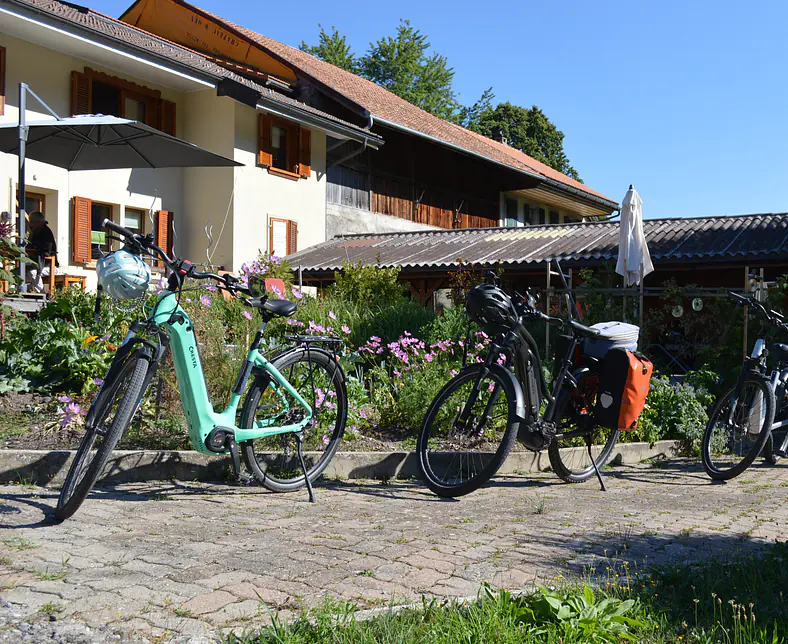 Bois de Rêves_26.JPG