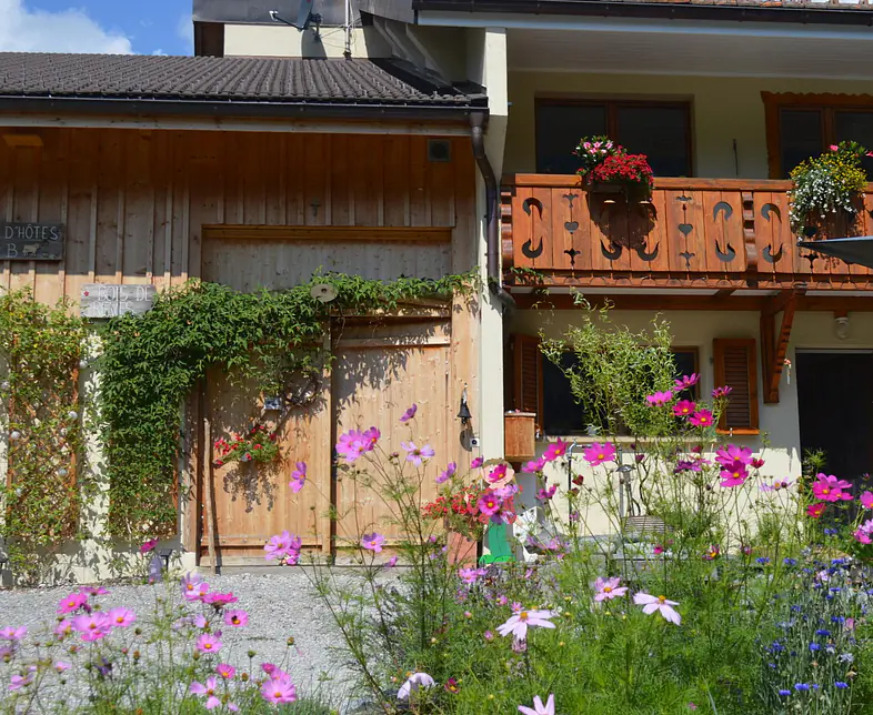 1_gallery_large (1).jpg