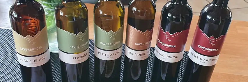 Degustationen täglich Cave du Rhodan, Mounir Weine, Salgesch/Wallis