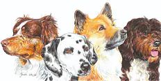 Tierbilder und Hundebuch