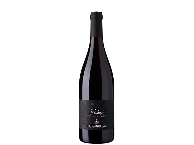 Pachien «Pinot Noir de Salquenen» AOC VS