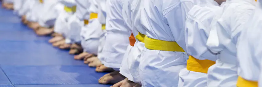Probiere Judo und Ju-Jitsu aus