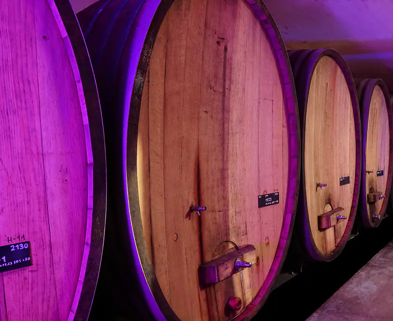 Weinkeller 8 online.jpg