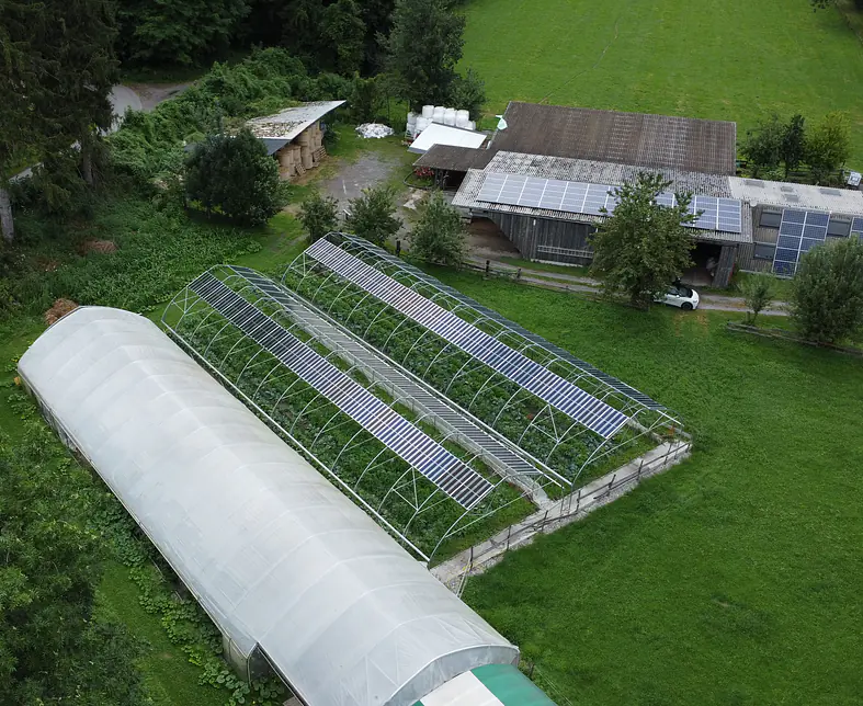 Agri-pv.JPG