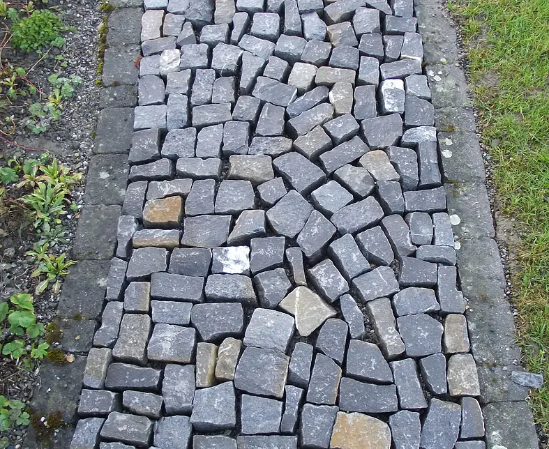 Wildpflästerung 3.jpg