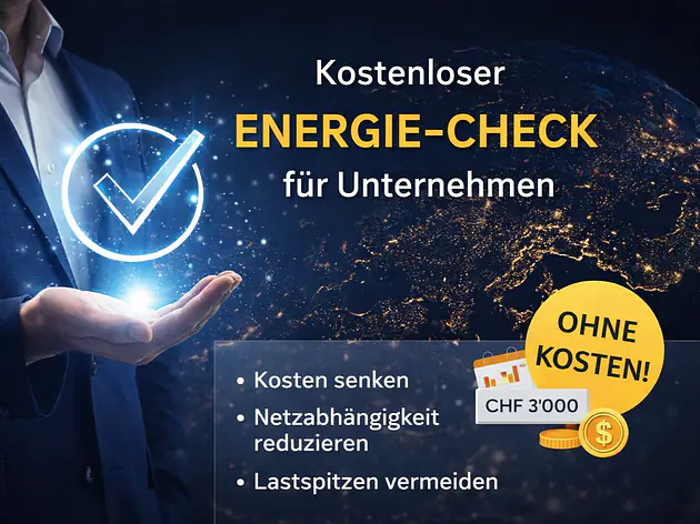 Energie-Check für Gewerbe, Industrie und Landwirtschaft