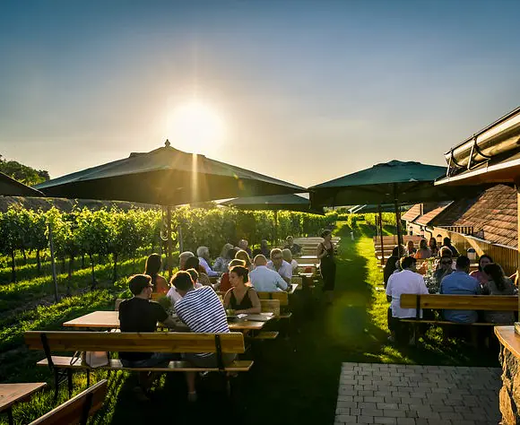 Winzer - Dockner - Strass - Heurigen.jpg