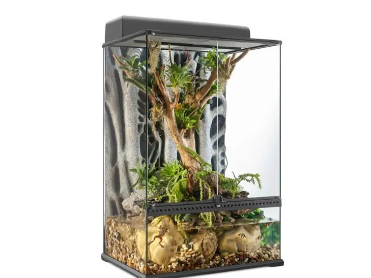Terrarium