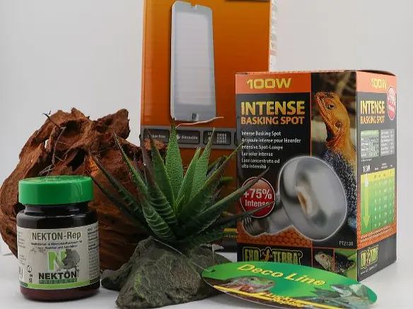 Terraristik-Zubehör